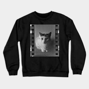 Analog Cat Crewneck Sweatshirt